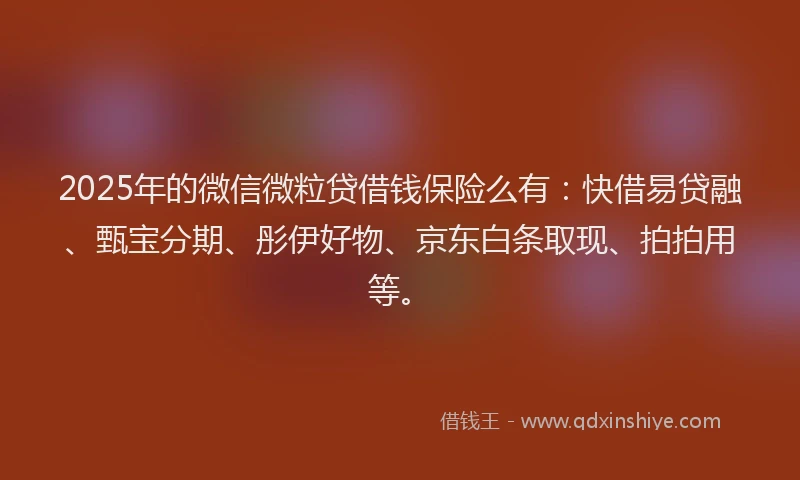 2025年的微信微粒贷借钱保险么有：快借易贷融、甄宝分期、彤伊好物、京东白条取现、拍拍用等。