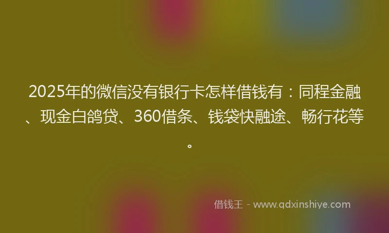 2025年的微信没有银行卡怎样借钱有：同程金融、现金白鸽贷、360借条、钱袋快融途、畅行花等。