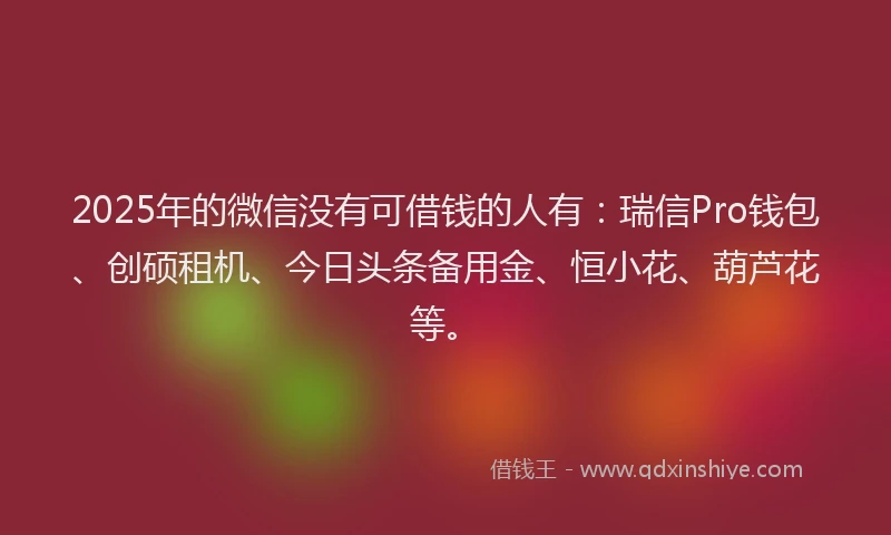 2025年的微信没有可借钱的人有：瑞信Pro钱包、创硕租机、今日头条备用金、恒小花、葫芦花等。
