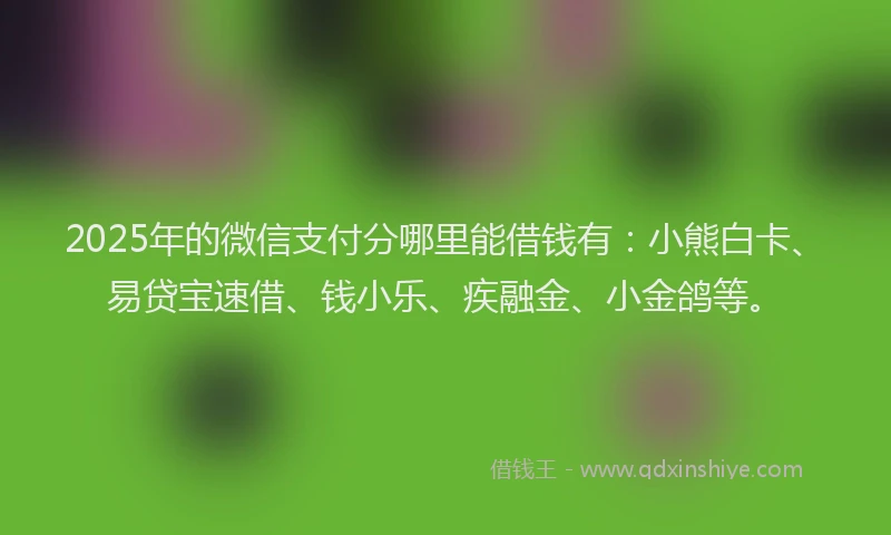 2025年的微信支付分哪里能借钱有：小熊白卡、易贷宝速借、钱小乐、疾融金、小金鸽等。