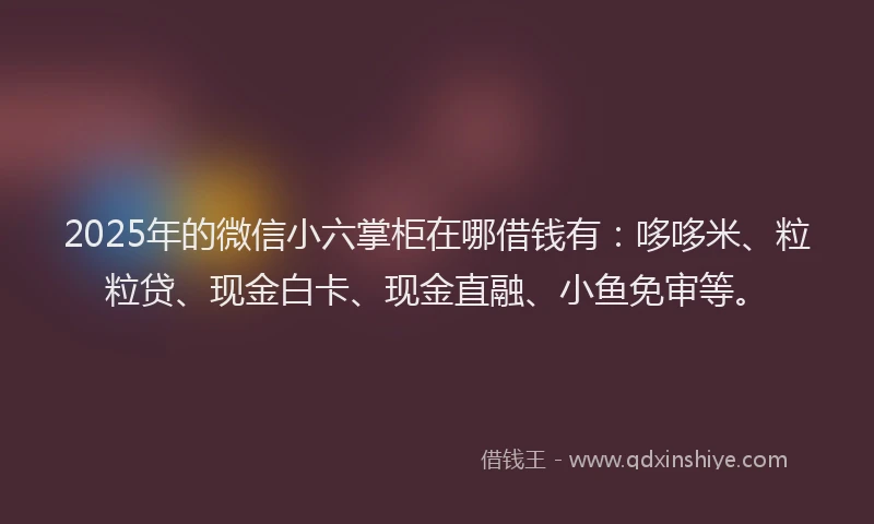 2025年的微信小六掌柜在哪借钱有：哆哆米、粒粒贷、现金白卡、现金直融、小鱼免审等。