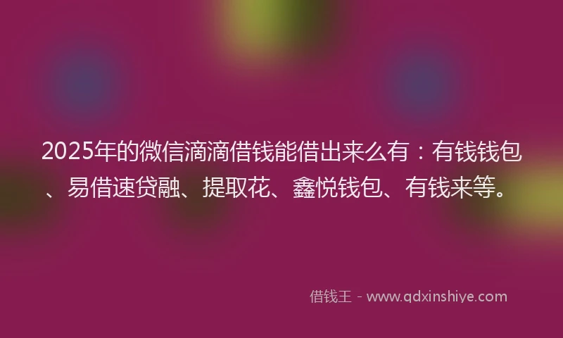 2025年的微信滴滴借钱能借出来么有：有钱钱包、易借速贷融、提取花、鑫悦钱包、有钱来等。