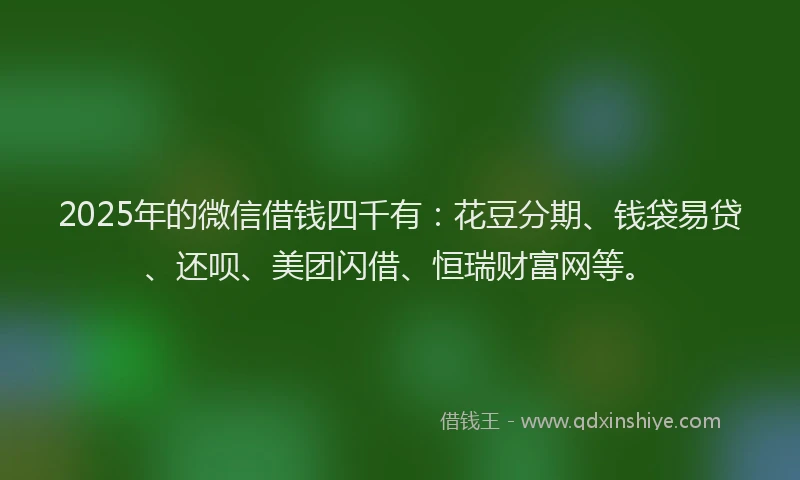2025年的微信借钱四千有：花豆分期、钱袋易贷、还呗、美团闪借、恒瑞财富网等。