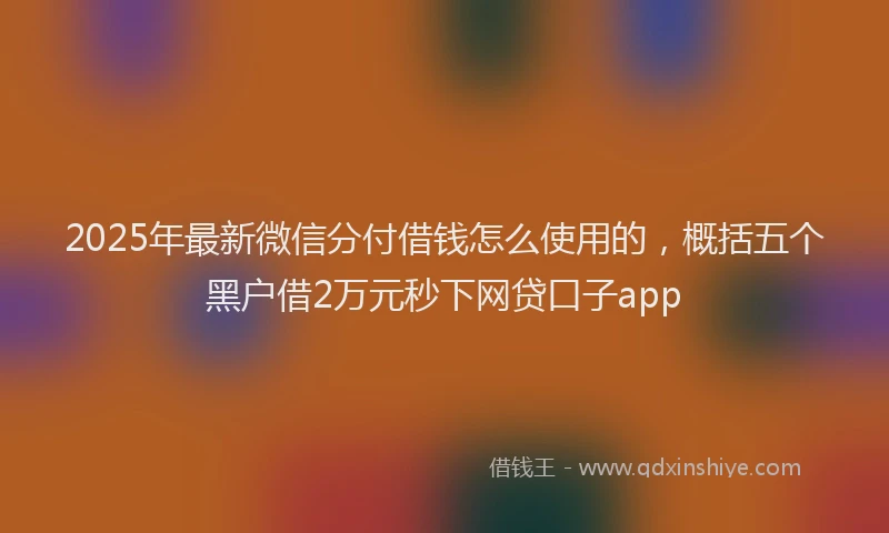 2025年最新微信分付借钱怎么使用的，概括五个黑户借2万元秒下网贷口子app