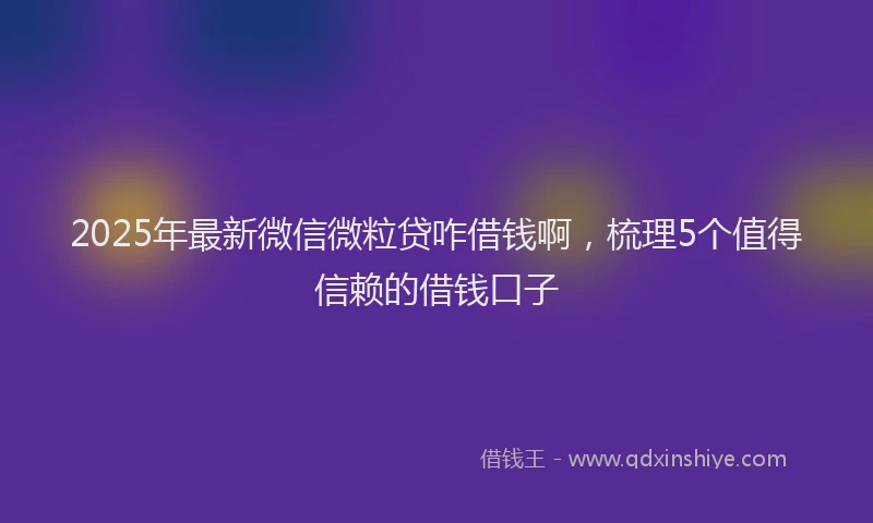 2025年最新微信微粒贷咋借钱啊，梳理5个值得信赖的借钱口子