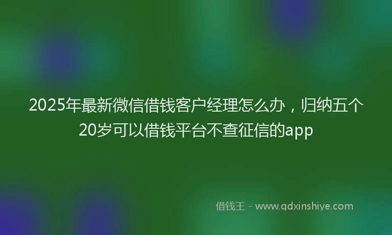 2025年最新微信借钱客户经理怎么办，归纳五个20岁可以借钱平台不查征信的app