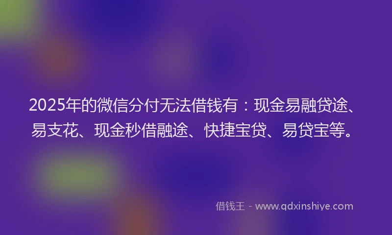 2025年的微信分付无法借钱有：现金易融贷途、易支花、现金秒借融途、快捷宝贷、易贷宝等。