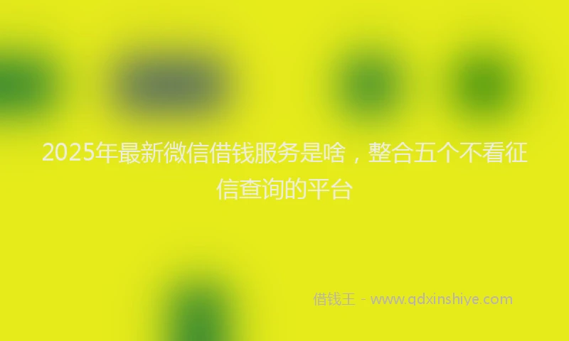 2025年最新微信借钱服务是啥，整合五个不看征信查询的平台