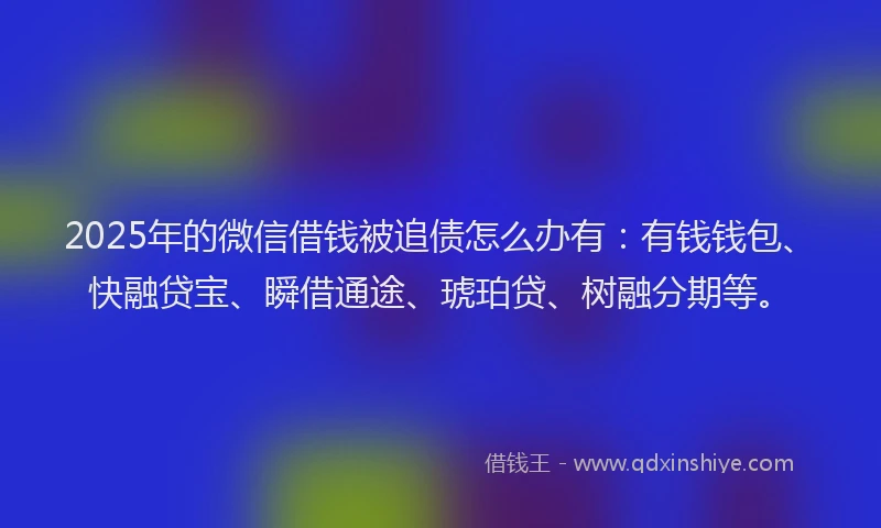 2025年的微信借钱被追债怎么办有：有钱钱包、快融贷宝、瞬借通途、琥珀贷、树融分期等。