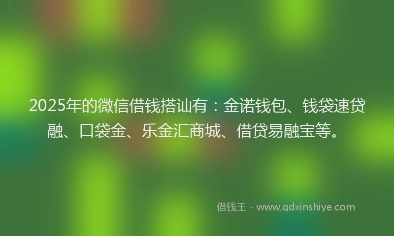 2025年的微信借钱搭讪有：金诺钱包、钱袋速贷融、口袋金、乐金汇商城、借贷易融宝等。