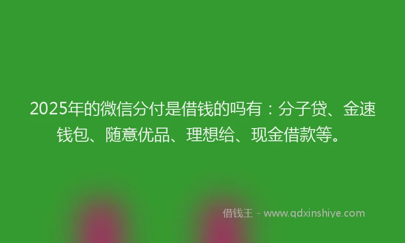 2025年的微信分付是借钱的吗有：分子贷、金速钱包、随意优品、理想给、现金借款等。