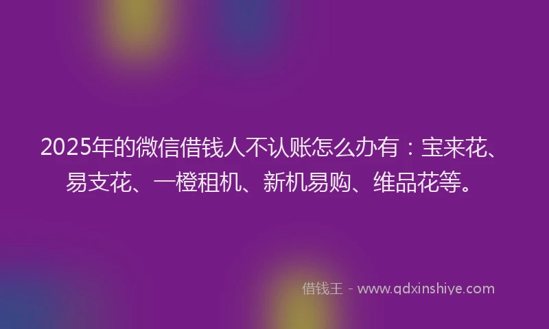 2025年的微信借钱人不认账怎么办有：宝来花、易支花、一橙租机、新机易购、维品花等。