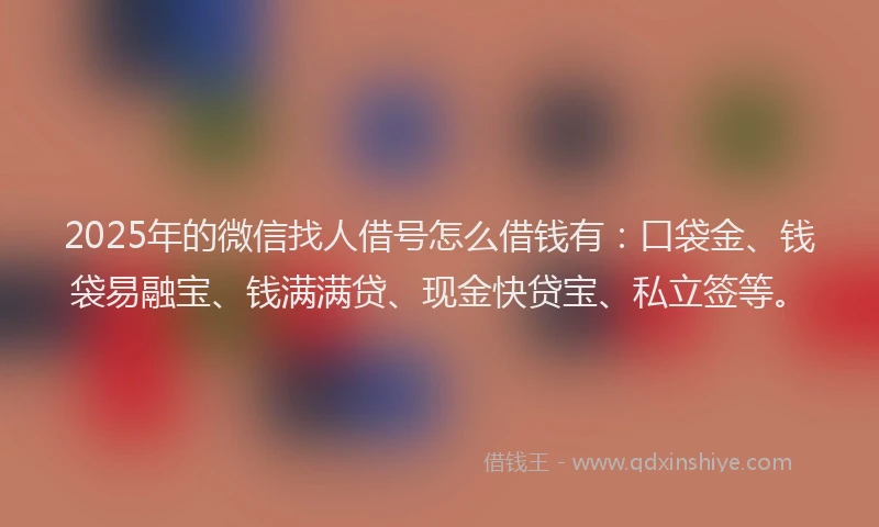 2025年的微信找人借号怎么借钱有：口袋金、钱袋易融宝、钱满满贷、现金快贷宝、私立签等。