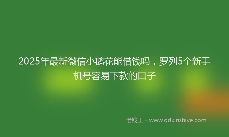 2025年最新微信小鹅花能借钱吗，罗列5个新手机号容易下款的口子