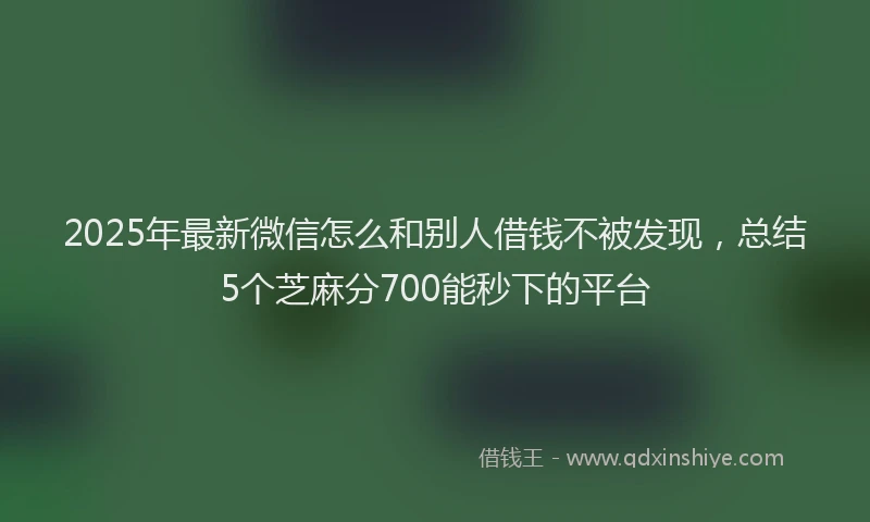 2025年最新微信怎么和别人借钱不被发现，总结5个芝麻分700能秒下的平台