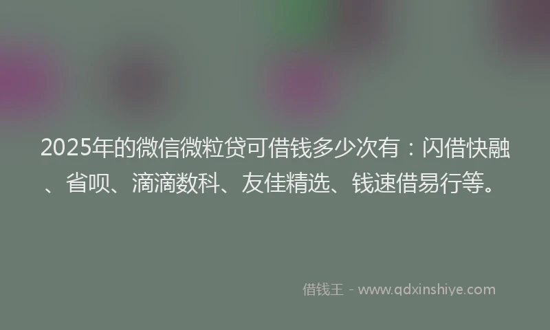 2025年的微信微粒贷可借钱多少次有：闪借快融、省呗、滴滴数科、友佳精选、钱速借易行等。