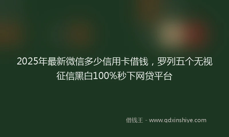 2025年最新微信多少信用卡借钱，罗列五个无视征信黑白100%秒下网贷平台