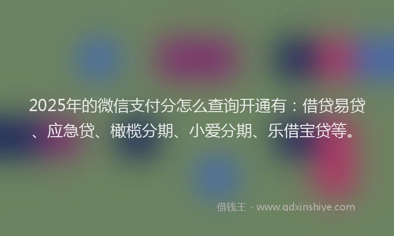 2025年的微信支付分怎么查询开通有：借贷易贷、应急贷、橄榄分期、小爱分期、乐借宝贷等。
