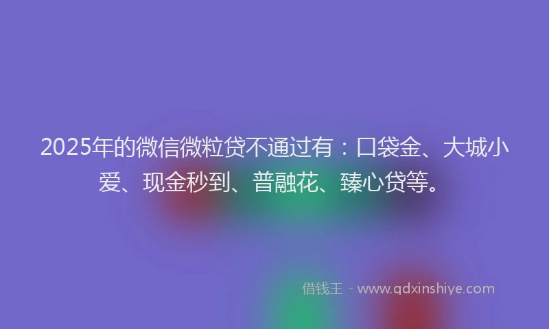 2025年的微信微粒贷不通过有：口袋金、大城小爱、现金秒到、普融花、臻心贷等。