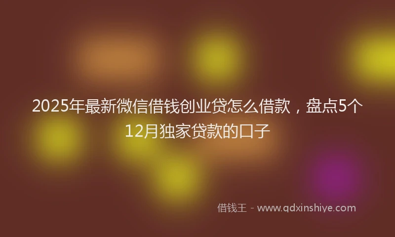 2025年最新微信借钱创业贷怎么借款，盘点5个12月独家贷款的口子