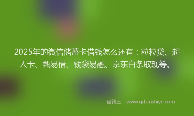 2025年的微信储蓄卡借钱怎么还有：粒粒贷、超人卡、甄易借、钱袋易融、京东白条取现等。