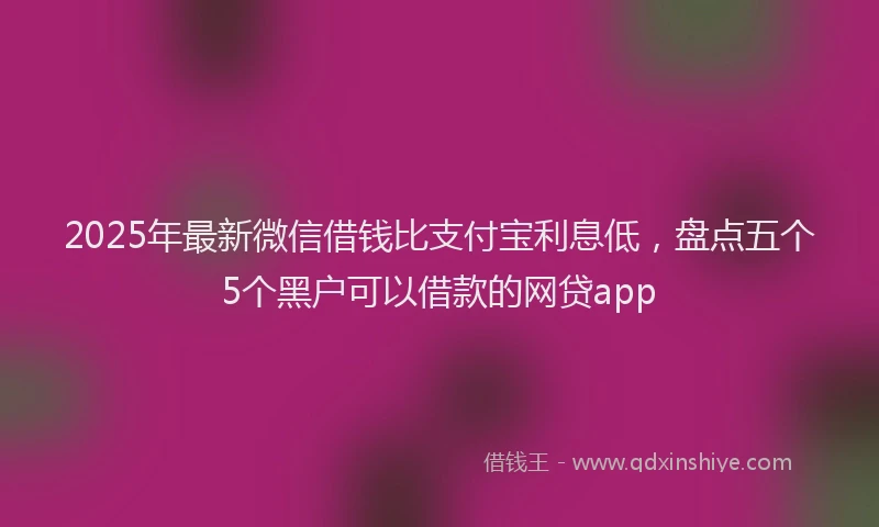 2025年最新微信借钱比支付宝利息低，盘点五个5个黑户可以借款的网贷app