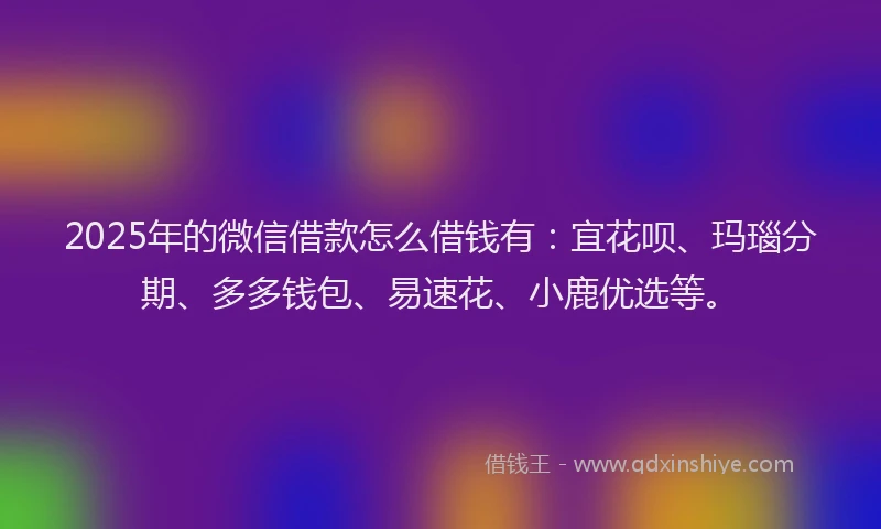 2025年的微信借款怎么借钱有：宜花呗、玛瑙分期、多多钱包、易速花、小鹿优选等。