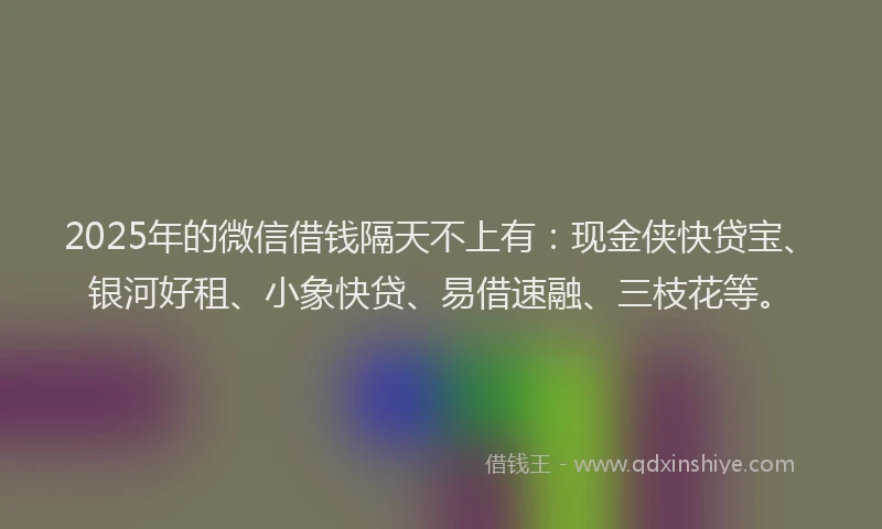 2025年的微信借钱隔天不上有：现金侠快贷宝、银河好租、小象快贷、易借速融、三枝花等。