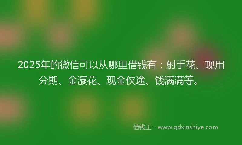 2025年的微信可以从哪里借钱有：射手花、现用分期、金瀛花、现金侠途、钱满满等。