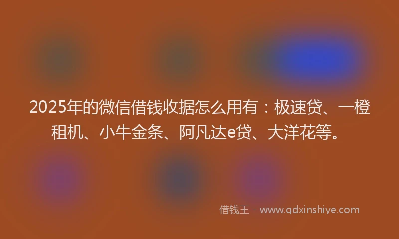 2025年的微信借钱收据怎么用有：极速贷、一橙租机、小牛金条、阿凡达e贷、大洋花等。