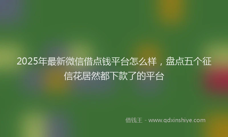 2025年最新微信借点钱平台怎么样，盘点五个征信花居然都下款了的平台