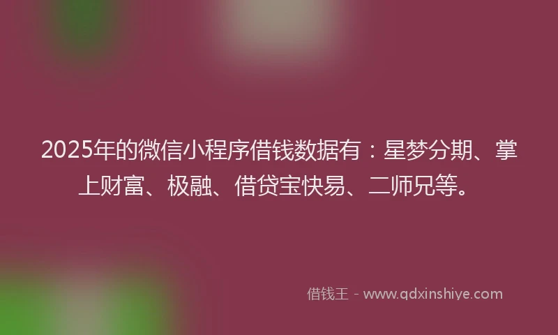 2025年的微信小程序借钱数据有：星梦分期、掌上财富、极融、借贷宝快易、二师兄等。
