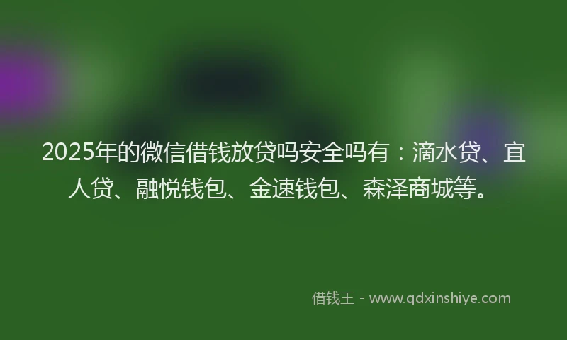2025年的微信借钱放贷吗安全吗有：滴水贷、宜人贷、融悦钱包、金速钱包、森泽商城等。