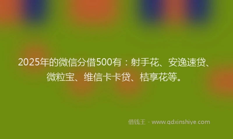 2025年的微信分借500有：射手花、安逸速贷、微粒宝、维信卡卡贷、桔享花等。