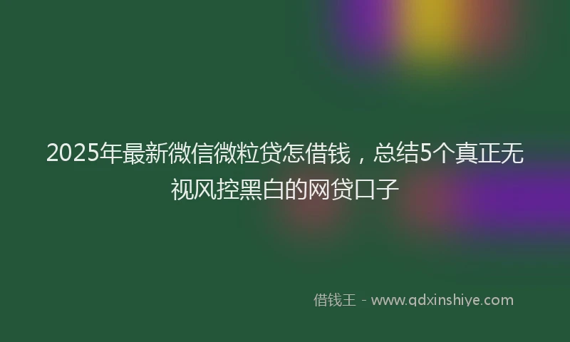 2025年最新微信微粒贷怎借钱，总结5个真正无视风控黑白的网贷口子