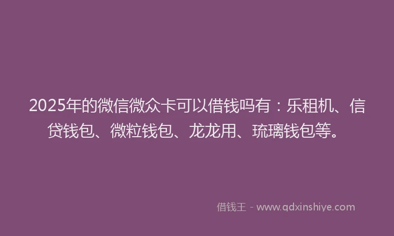 2025年的微信微众卡可以借钱吗有：乐租机、信贷钱包、微粒钱包、龙龙用、琉璃钱包等。