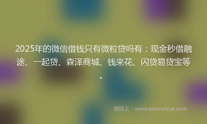 2025年的微信借钱只有微粒贷吗有：现金秒借融途、一起贷、森泽商城、钱来花、闪贷易贷宝等。