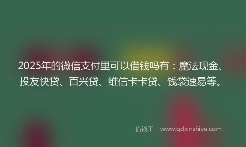 2025年的微信支付里可以借钱吗有：魔法现金、投友快贷、百兴贷、维信卡卡贷、钱袋速易等。