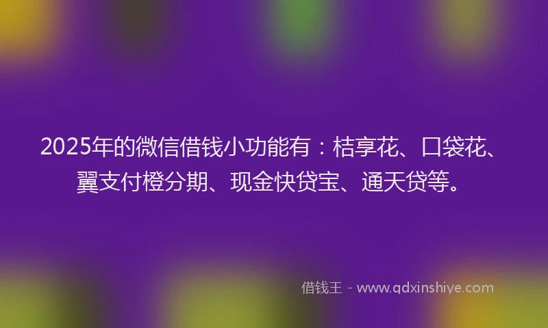 2025年的微信借钱小功能有：桔享花、口袋花、翼支付橙分期、现金快贷宝、通天贷等。