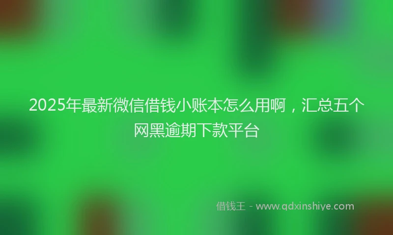 2025年最新微信借钱小账本怎么用啊，汇总五个网黑逾期下款平台