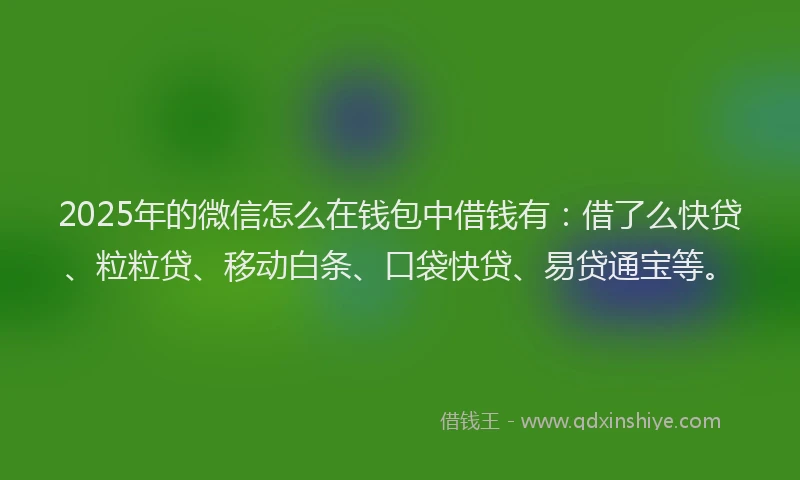 2025年的微信怎么在钱包中借钱有：借了么快贷、粒粒贷、移动白条、口袋快贷、易贷通宝等。
