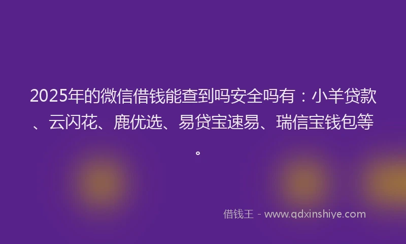 2025年的微信借钱能查到吗安全吗有：小羊贷款、云闪花、鹿优选、易贷宝速易、瑞信宝钱包等。