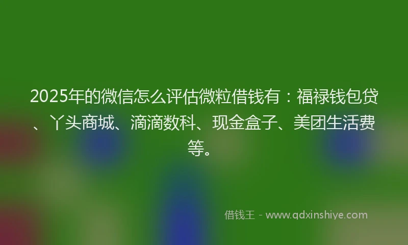 2025年的微信怎么评估微粒借钱有：福禄钱包贷、丫头商城、滴滴数科、现金盒子、美团生活费等。