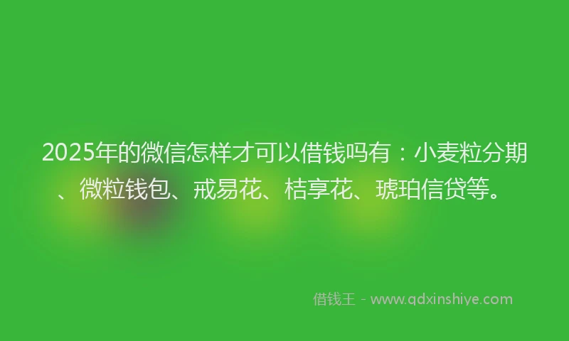2025年的微信怎样才可以借钱吗有：小麦粒分期、微粒钱包、戒易花、桔享花、琥珀信贷等。