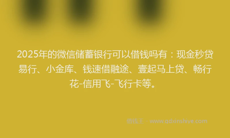 2025年的微信储蓄银行可以借钱吗有：现金秒贷易行、小金库、钱速借融途、壹起马上贷、畅行花-信用飞-飞行卡等。