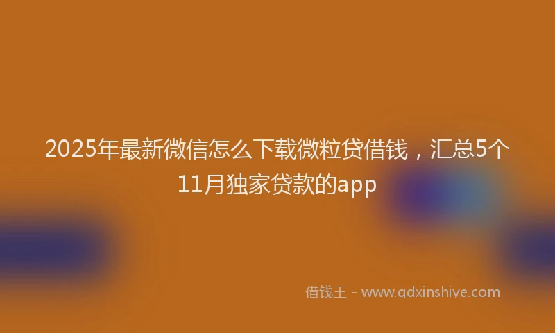2025年最新微信怎么下载微粒贷借钱，汇总5个11月独家贷款的app