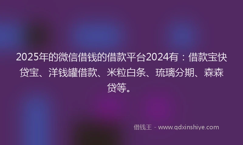 2025年的微信借钱的借款平台2024有：借款宝快贷宝、洋钱罐借款、米粒白条、琉璃分期、森森贷等。
