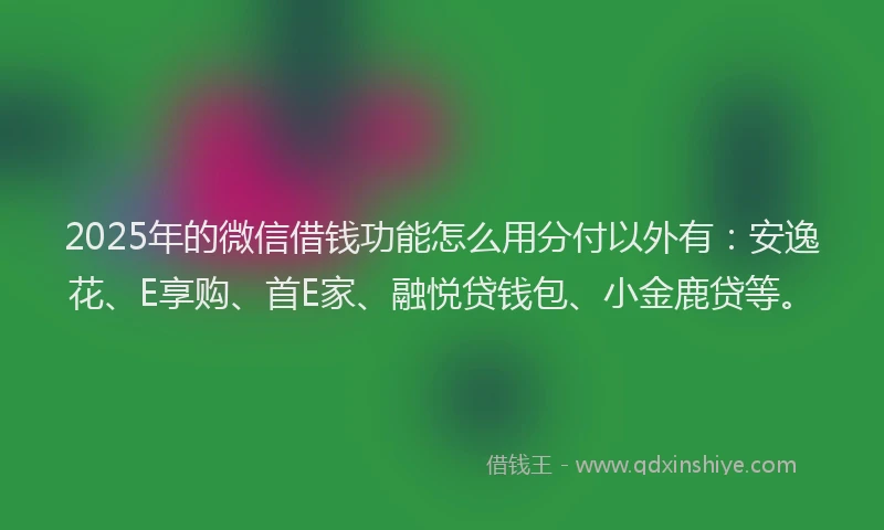 2025年的微信借钱功能怎么用分付以外有：安逸花、E享购、首E家、融悦贷钱包、小金鹿贷等。
