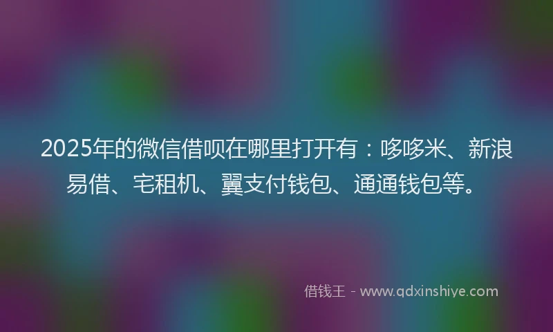 2025年的微信借呗在哪里打开有：哆哆米、新浪易借、宅租机、翼支付钱包、通通钱包等。