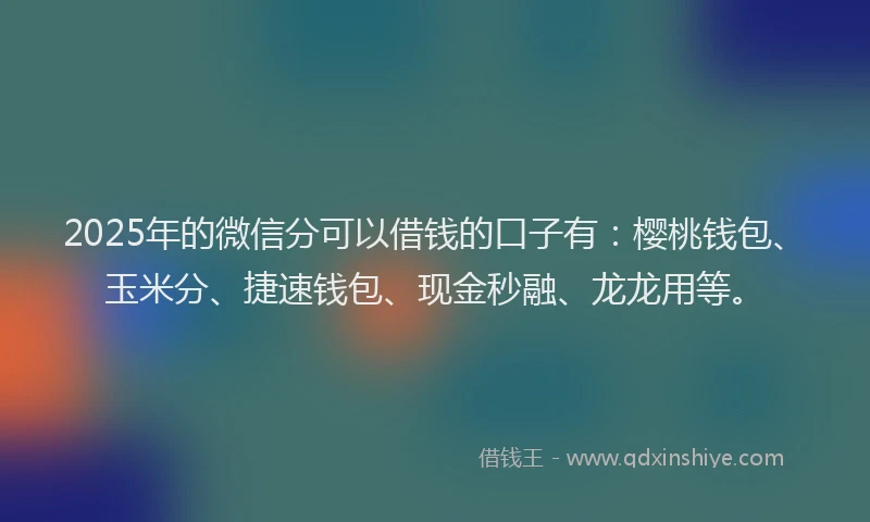 2025年的微信分可以借钱的口子有：樱桃钱包、玉米分、捷速钱包、现金秒融、龙龙用等。
